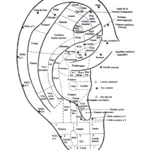 Carte oreille